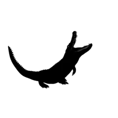 Fotobehang silhouette of a crocodile © Blueinthesky