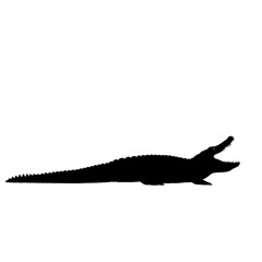 silhouette of a crocodile