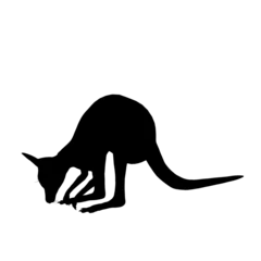 Badkamer foto achterwand silhouette of a kangaroo © Blueinthesky