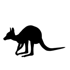 Deurstickers silhouette of a kangaroo © Blueinthesky