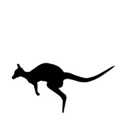 Foto op Plexiglas silhouette of a kangaroo © Blueinthesky