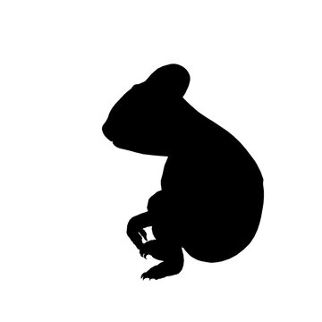 recommend clip art: silhouette of koala