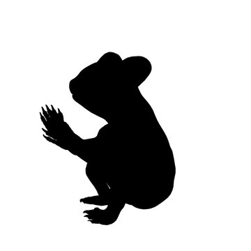 recommend clip art: silhouette of koala