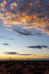 Arid Kalahari Landscape with dunes and clouds, near Gharagab in the Kgalagadi Transfrontier Park