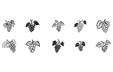 Fotobehang Grape silhouette,Grapes icon. Grapevine with leaf. Wine logo © mdfarhadcreative