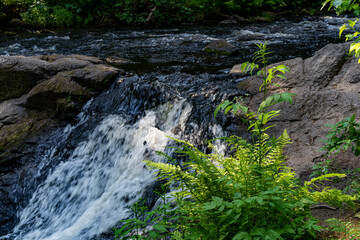 A variety of summer forest landscapes with rivers.
