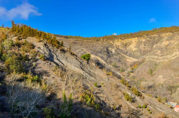 Fototapeta na wymiar autumn forest on Mtatsminda mountain scenic view from Narikala trail (Tbilisi, Georgia)
