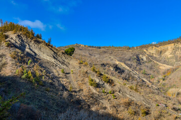 cliffs and pine trees on Mtatsminda mountain scenic view from Narikala trail (Tbilisi, Georgia)