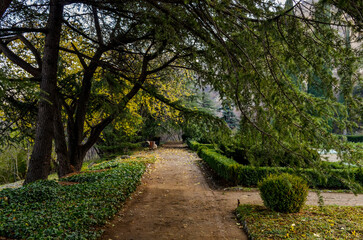 walkway in parterre of the National Botanical Garden  (Tbilisi, Georgia)