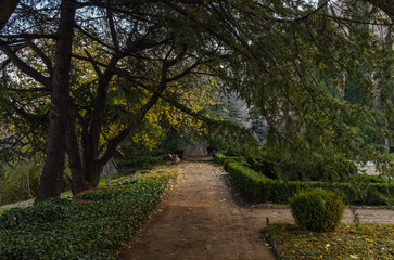 Fototapeta na wymiar walkway in parterre of the National Botanical Garden (Tbilisi, Georgia)