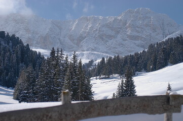 snowy landscape with trees and mountains