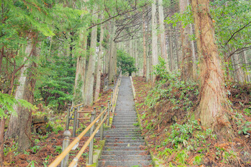 Obraz premium 山形 神社境内へと続く階段
