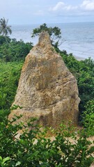 Taman Batu Luang Kuala Penyu SABAH
