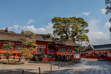 Usa Shrine in Japan