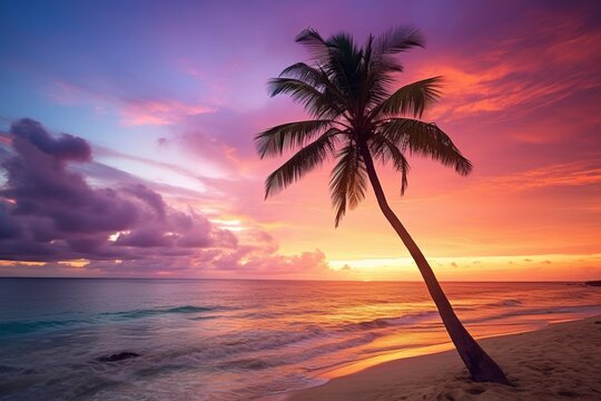 Beautiful nature tropical beach and sea with coconut palm tree at sunset time for travel and vacation