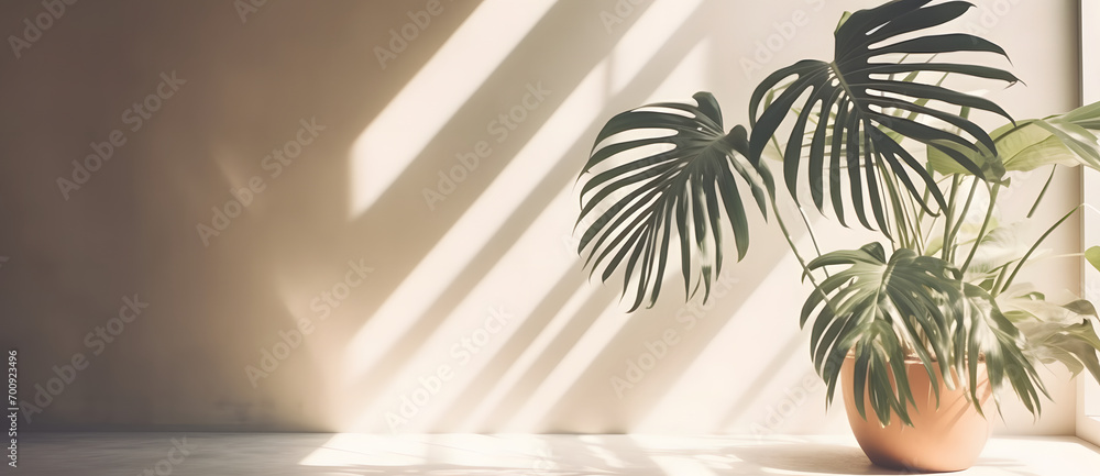 Aufkleber premium podium on pastel background for product display, abstract geometric composition with branch 