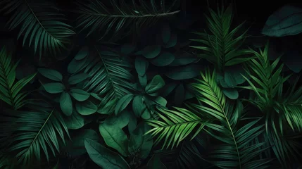 Foto op Plexiglas Dark green large Tropical palm leaves  on dark background. Natural summer background Close up. © Eyepain