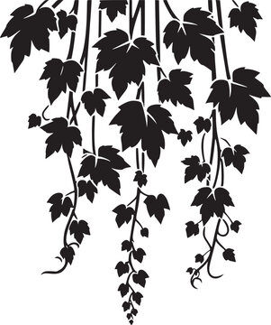 Silhouette of Hanging Vines