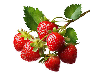 Ripe delicious strawberries bush, cut out