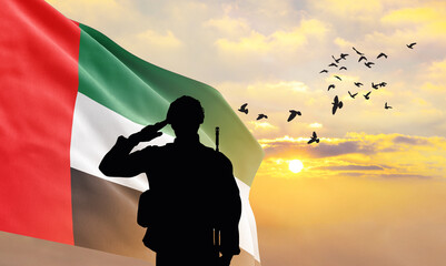 Silhouette of a soldier with the United Arab Emirates flag stands against the background of a...
