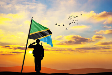 Silhouette of a soldier with the Tanzania flag stands against the background of a sunset or...