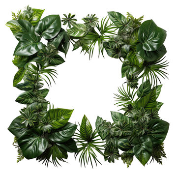 lush foliage as a frame border, isolated transparent background