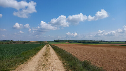 Fototapeta na wymiar countryside country road through fields cultivated by peasant farmer in panorama