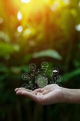 Technology,   Hands holding  globe of tropical nature summer background,