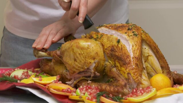 woman carving roasted stuffed turkey and slicing cuts of turkey, preparing thanksgiving or christmas holiday dinner