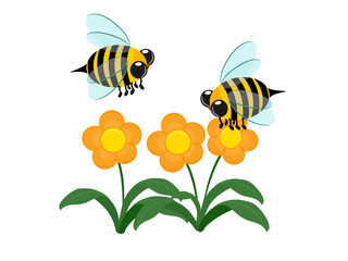 Anthophila found in the forest.