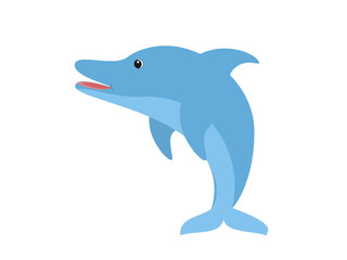 Obraz premium Dolphin on a white background.