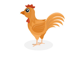 Little chicken on a white background.