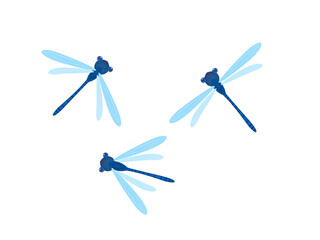 Dragonfly on a white background.