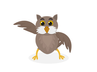 Owl on a white background.