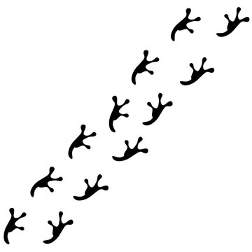 Vector footprint of a jumping frog on a white background. Amphibian tracks.