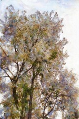 A large tree with bushy leaves and branches Illustrations in chalk crayon colored pencils impressionist style paintings.