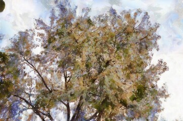 A large tree with bushy leaves and branches Illustrations in chalk crayon colored pencils impressionist style paintings.