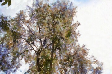 A large tree with bushy leaves and branches Illustrations in chalk crayon colored pencils impressionist style paintings.