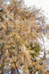 A large tree with bushy leaves and branches Illustrations in chalk crayon colored pencils impressionist style paintings.