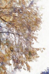 A large tree with bushy leaves and branches Illustrations in chalk crayon colored pencils impressionist style paintings.