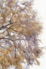 A large tree with bushy leaves and branches Illustrations in chalk crayon colored pencils impressionist style paintings.