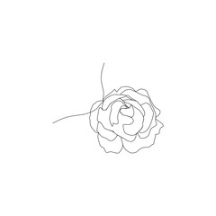 flowers in a garden that bloom beautifully