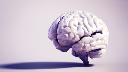 Human brain standing on soft color background. Copy space on the right. 3D illustration