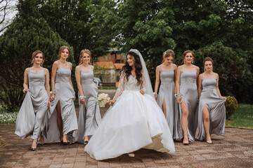 Group portrait of the bride and bridesmaids. A bride in a wedding dress and bridesmaids in silver...