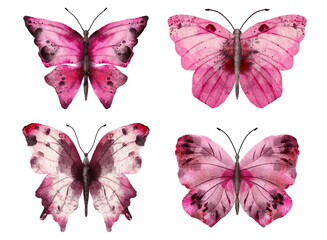 Set of watercolor butterflies. Digitally hand painted PNG transparent illustration