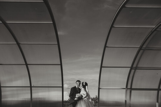 black and white wide-angle photo of the bride and groom against the background of the sky. Free space.