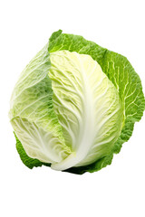 Green cabbage isolated on white background with full depth of field