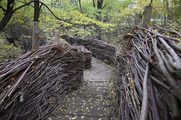 walk, ścieżka ©  Nowiński