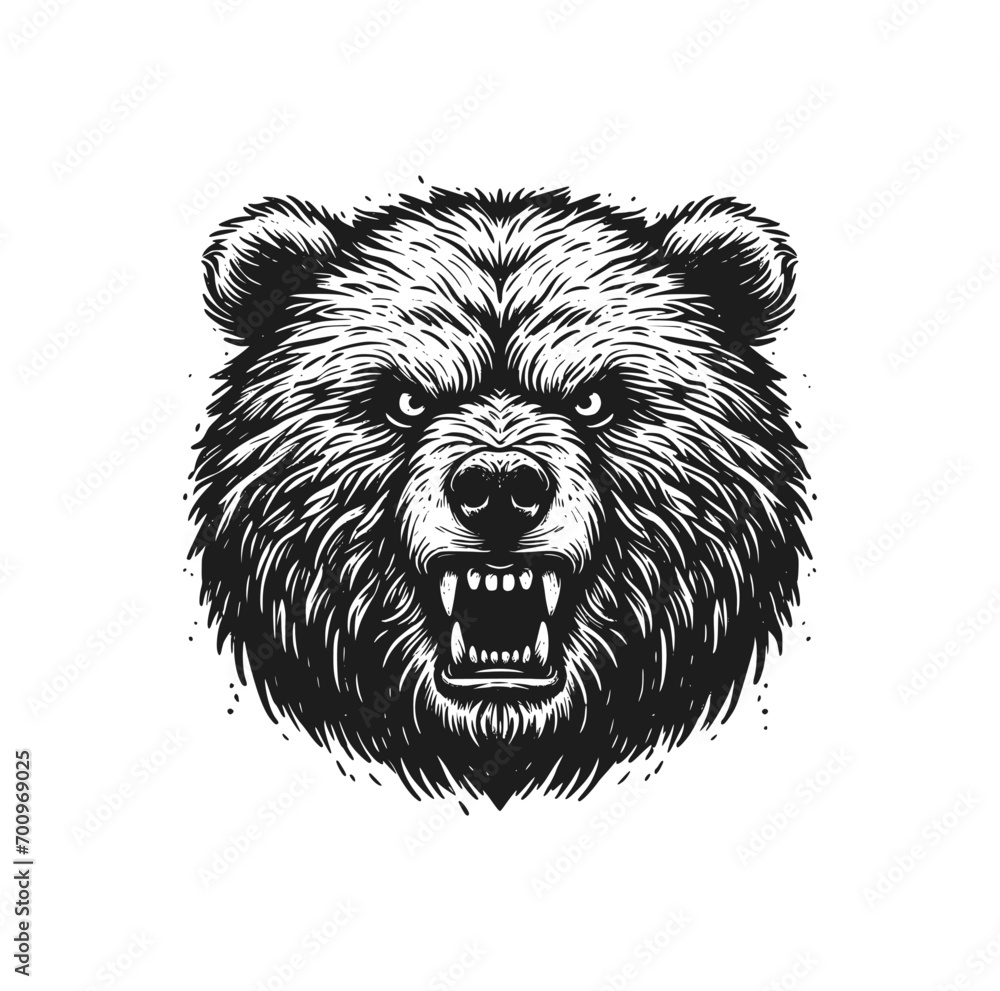 Poster Hand drawn engraving of angry bear. Vector illustration.