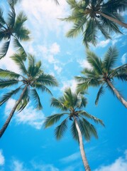Blue skies peering through tall palm trees